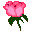 FLOWER16.gif