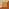 brown.gif
