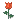 flower.gif