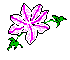 icls01.gif