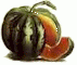 melon.gif