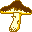 p5.gif