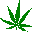 plant3.gif