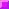 purple.gif